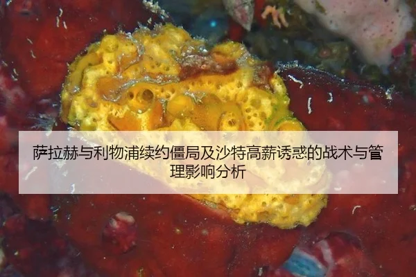 萨拉赫与利物浦续约僵局及沙特高薪诱惑的战术与管理影响分析